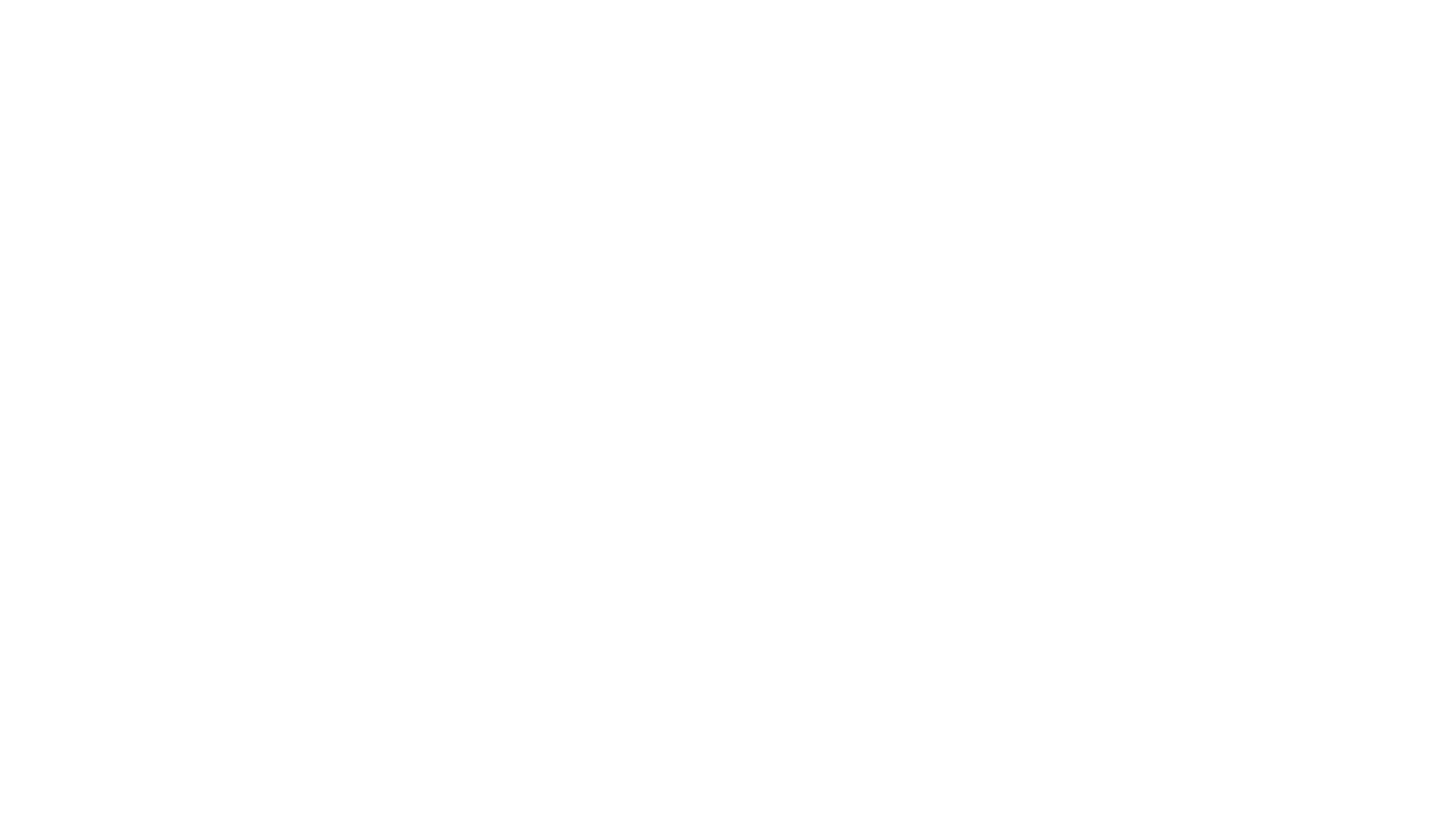 Les fabricants - logo client carrefour