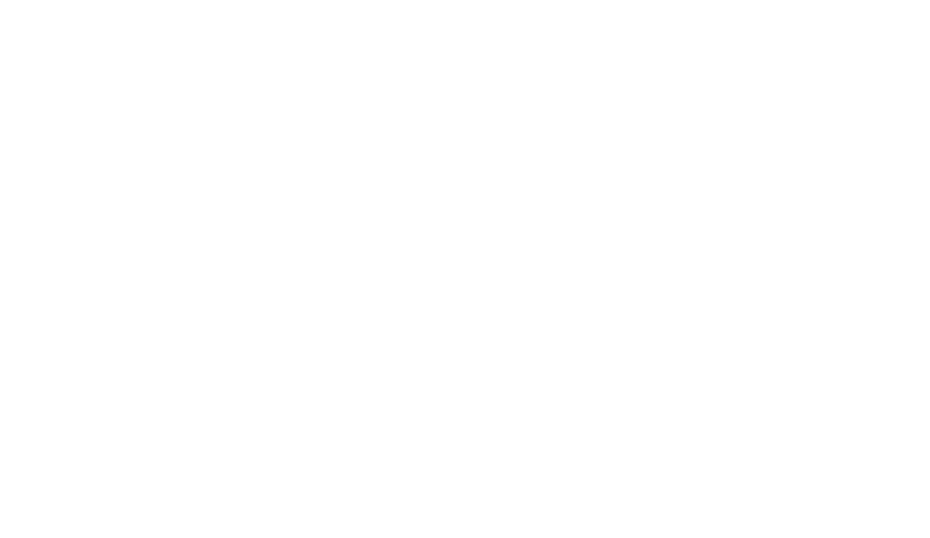 Les fabricants - logo client valeo