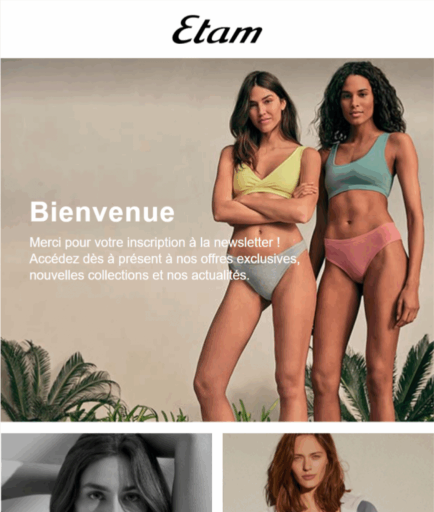 Newsletter automatisées