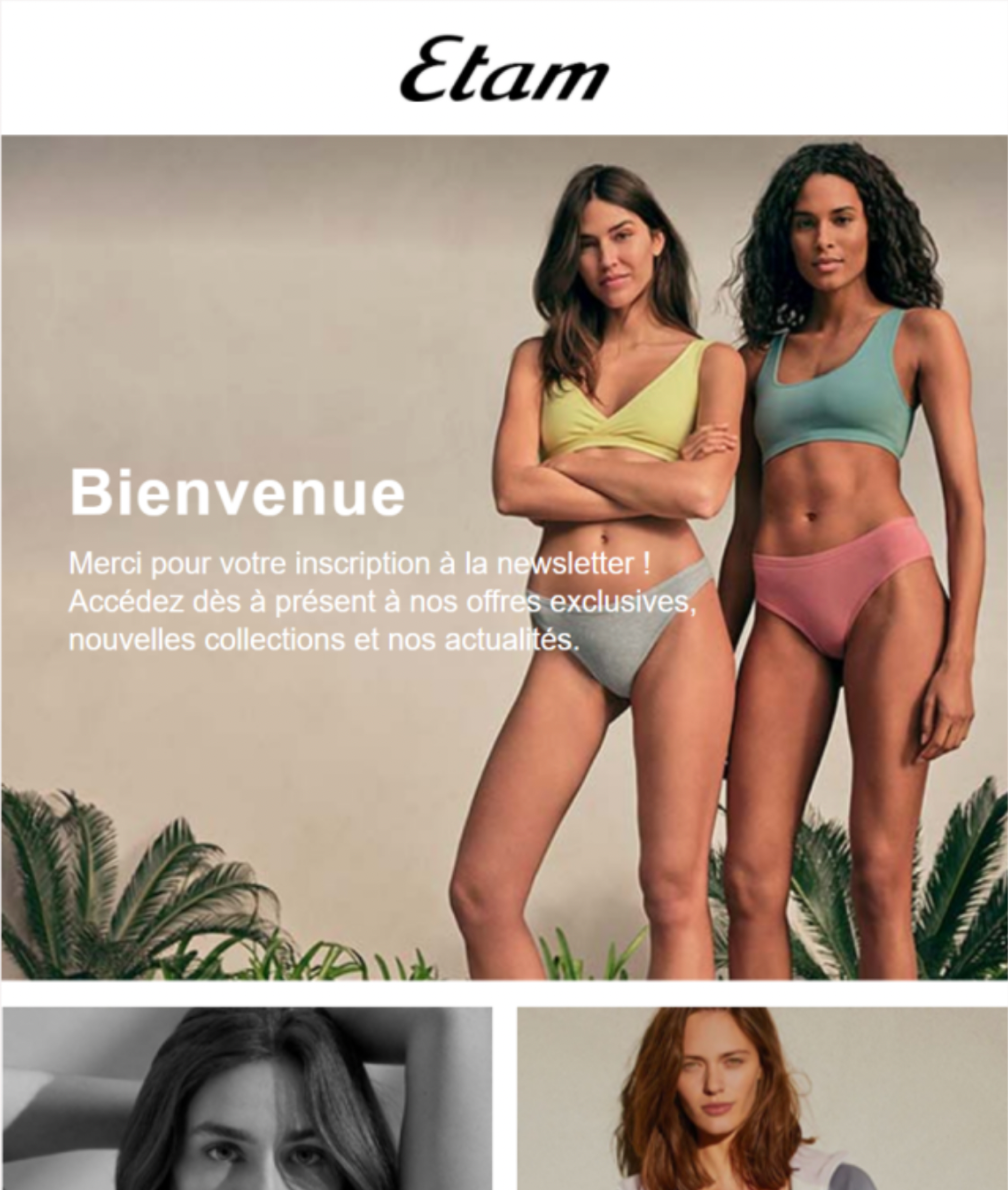 Newsletter automatisées