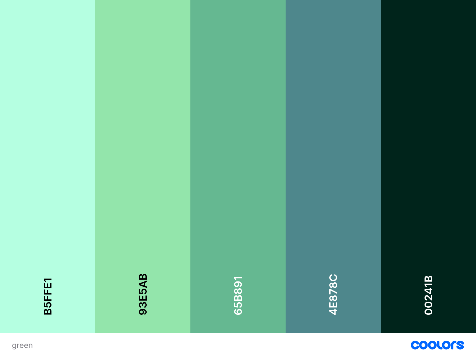 Palette de couleurs fluo